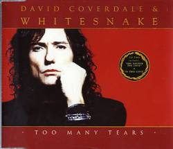 Whitesnake : Too Many Tears